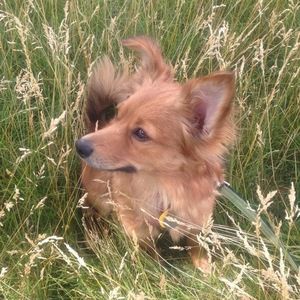 Meet your Posher, Kaitlyn